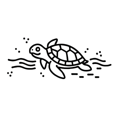 Sea Turtle